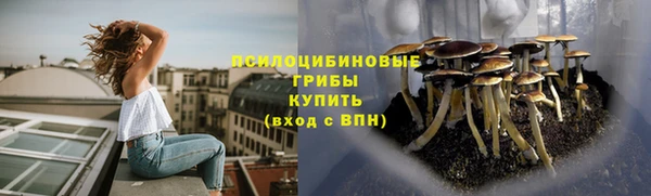 стаф Покров